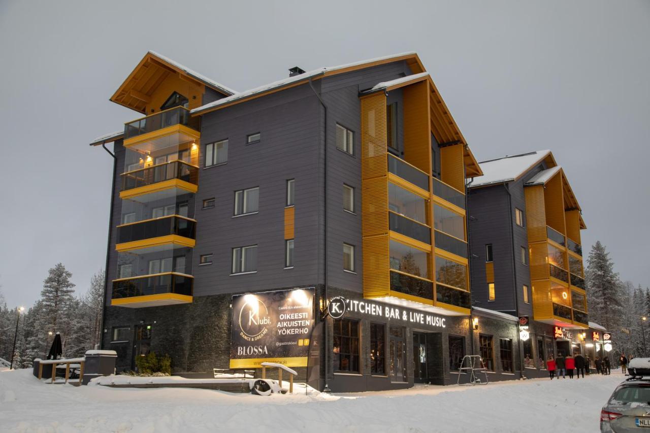 Levin Kunkku B2 Apartment Grey Zewnętrze zdjęcie